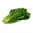 Chinese  Spinach (Phuay Leng)
