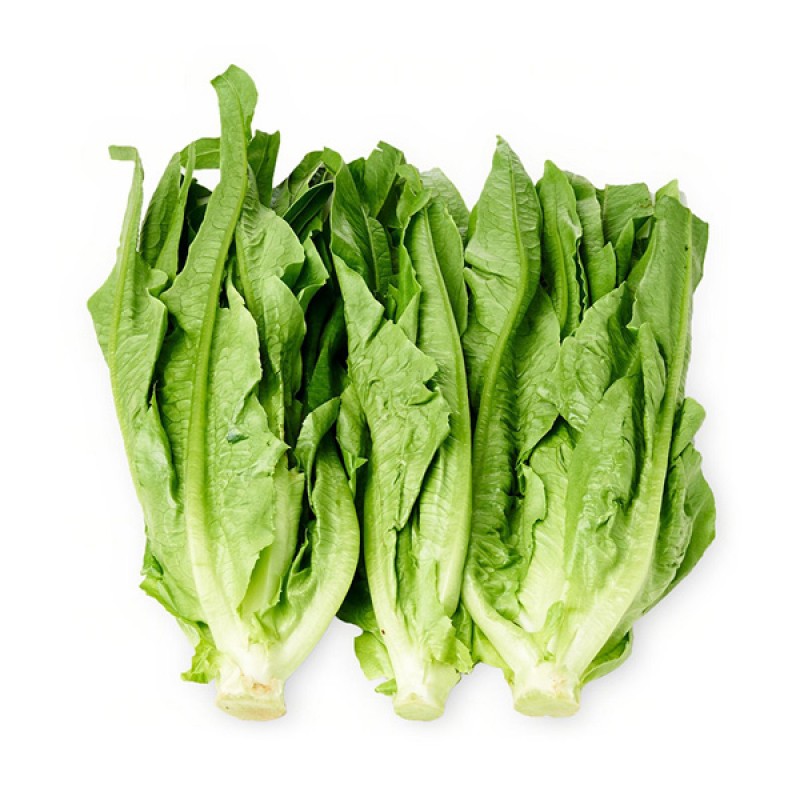 Lettuce Romanine (Yau Mak)