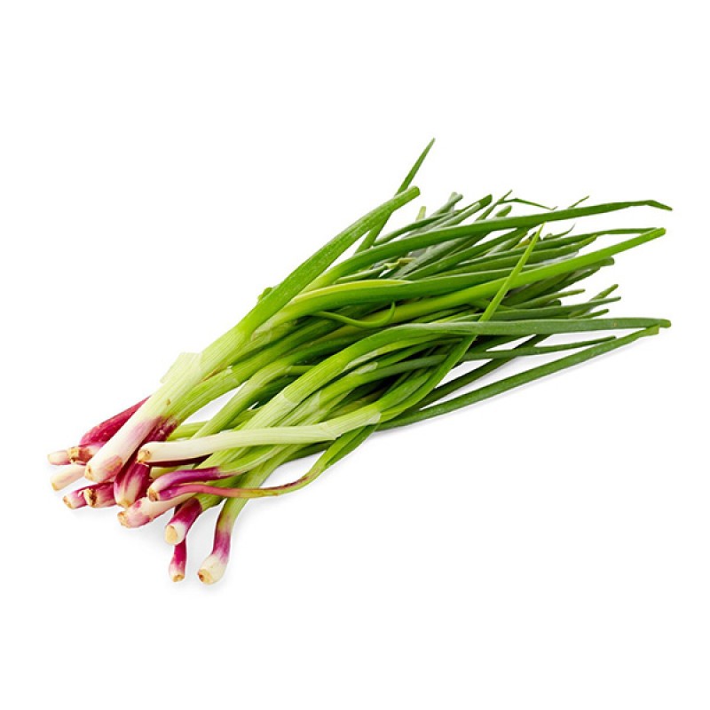 Spring Onion Fresh