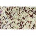 Brown Cargo Rice - Bee's Brand