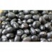 Black Soybean with Green Kernels, Organic - Umed