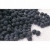 Black Bean - Gainswell