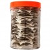 Soursop Leaf Tea Bags (红毛榴莲叶茶)(50 teabags) - Bee's Brand