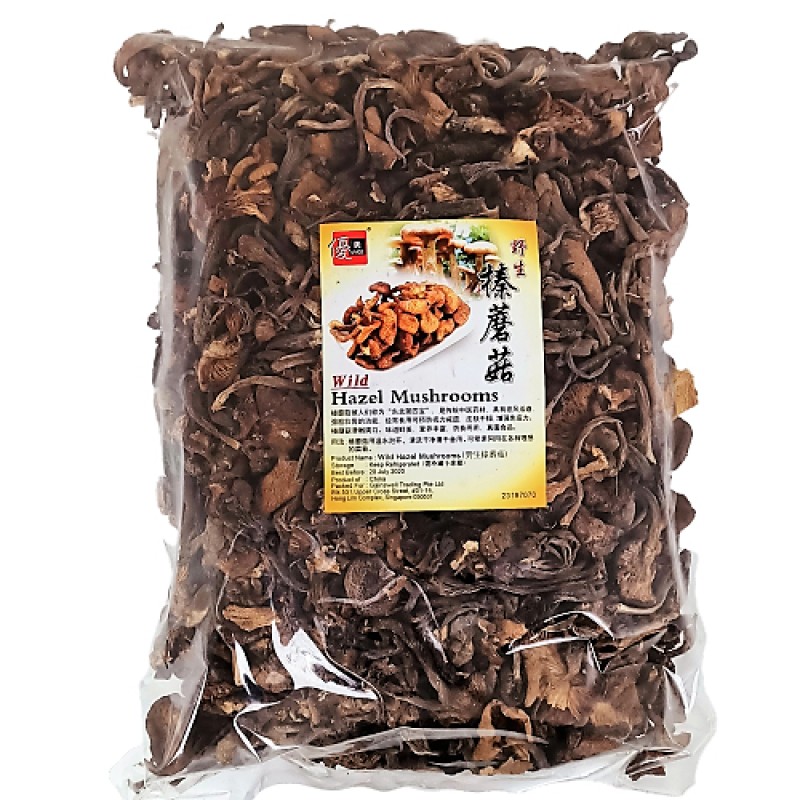 WIld Hazel Mushroom 野生榛蘑 - Umed