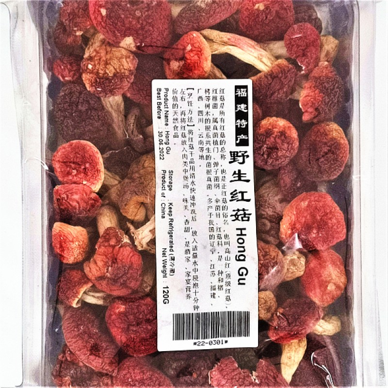 WIld Red Mushroom 野生红蘑 - Gainswell