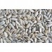 Sunflower Seed Kernels, Organic - Umed