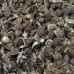 Moringa Seeds - Bee's Brand