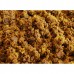 Brown Sugar - Gainswell Brown Sugar - Gainswell
