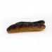 Sea Cucumber, Large Sandfish