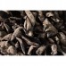 Black Fungus, Wild - NE Tiger