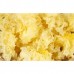 White Fungus - NE Tiger