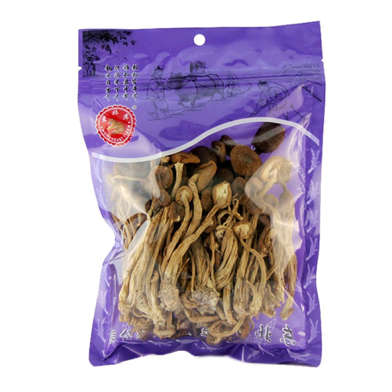 Poplar Mushroom - NE Tiger