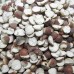 Euryale Seeds (芡实) - NE Tiger